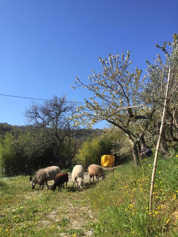Salara Farmhouse Копер Екстериор снимка
